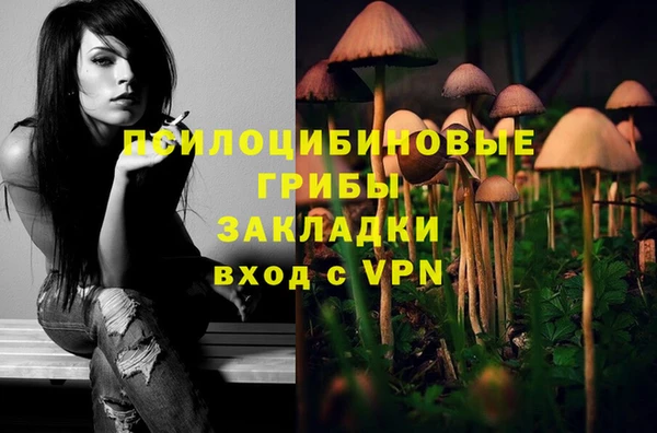 mdma Костерёво