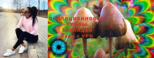 дживик Фёдоровский