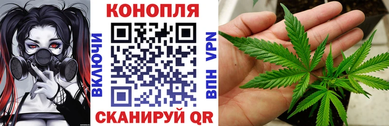 Бошки марихуана ГИДРОПОН  Купить  Новомичуринск 